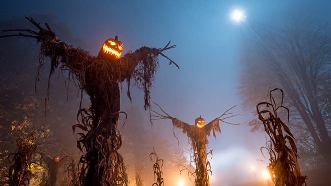 Haunted Overload (Lee, New Hampshire): Bạn đã luôn muốn nhìn thấy những con quái vật đi lang thang trong trang trại vào vụ mùa bội thu của sự sợ hãi? Hãy đến ngay điểm thu hút Halloween hàng đầu của New England.