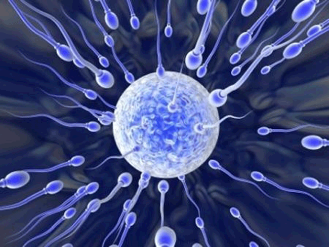 9. Dị ứng tinh dịch là hoàn toàn có thật: Một số triệu chứng phổ biến có thể gặp phải là ngứa, sưng đỏ ở những vùng tinh dịch chạm vào, giống như các dị ứng tiếp xúc khác. Dĩ nhiên đây là trường hợp hiếm gặp, có ít hơn 1% phụ nữ bị gặp phải tình trạng này.