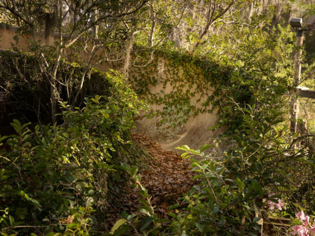 C&ocirc;ng vi&ecirc;n nước River Country, Mỹ: C&ocirc;ng vi&ecirc;n mở cửa v&agrave;o năm 1976 tại quận Orange, bang Florida. N&oacute; đ&atilde; đ&oacute;ng cửa v&agrave;o năm 2001, sau 25 năm hoạt động.