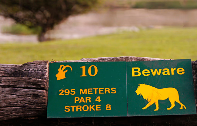 The Wild One - Skukuza, Nam Phi: Vào năm 2014, một người chơi golf tại sân Skukuza đã bị một con cá sấu giết chết. Nằm ở trung tâm của công viên quốc gia Kruger, Skukuza là một sân golf thường xuyên bị xâm chiếm bởi các loài động vật hoang dã, có nghĩa là bạn vừa chơi vừa luôn phải chú ý đến môi trường xung quanh.