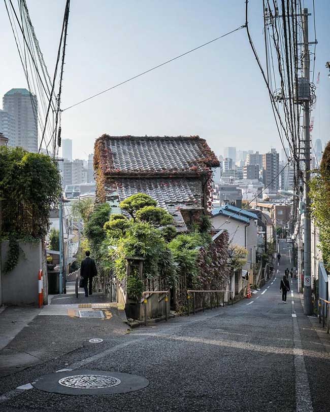 2. Dốc Hinashizaka ở bên trái, và dốc Fujimizaka ở bên phải. Bạn có thể nhìn thấy núi Phú Sĩ từ đây vào đầu những năm 1900 nhưng bây giờ đã bị khuất tầm nhìn.