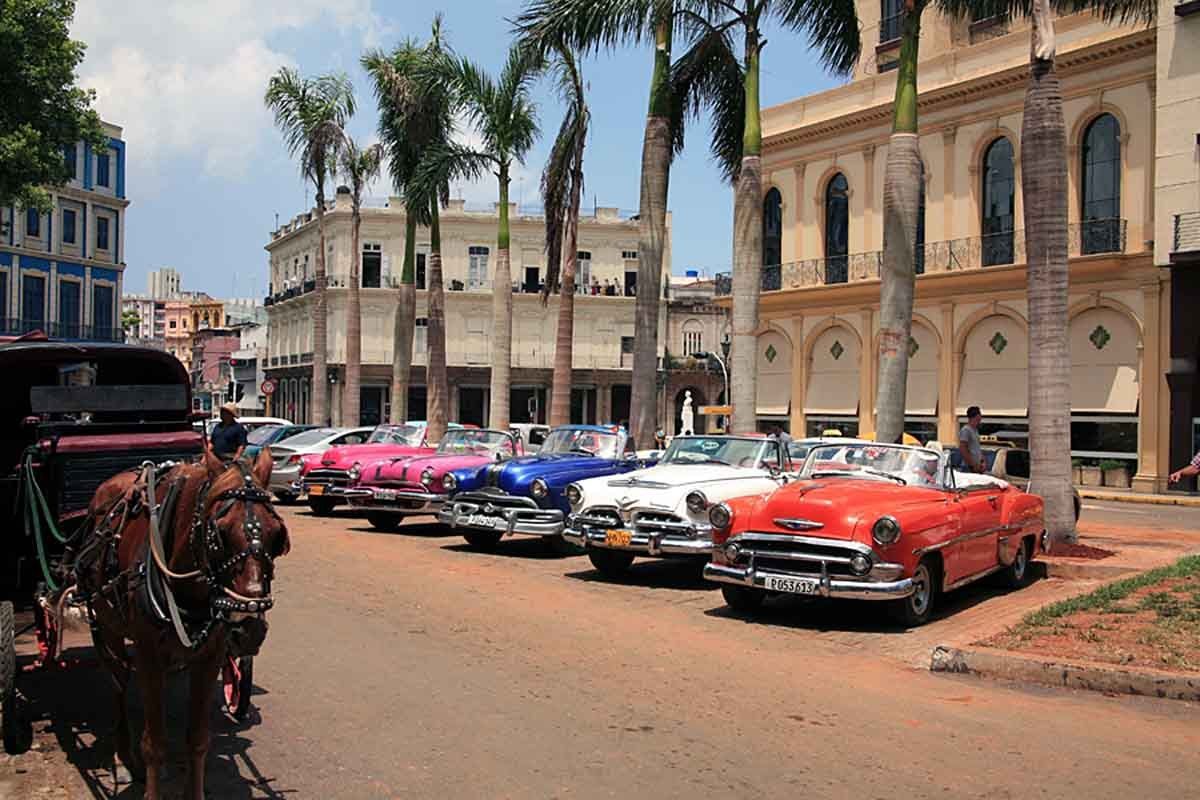 Vì thế, chính phủ Cuba ban hành lệnh cấm xuất khẩu những chiếc xe cổ này ra nước ngoài.