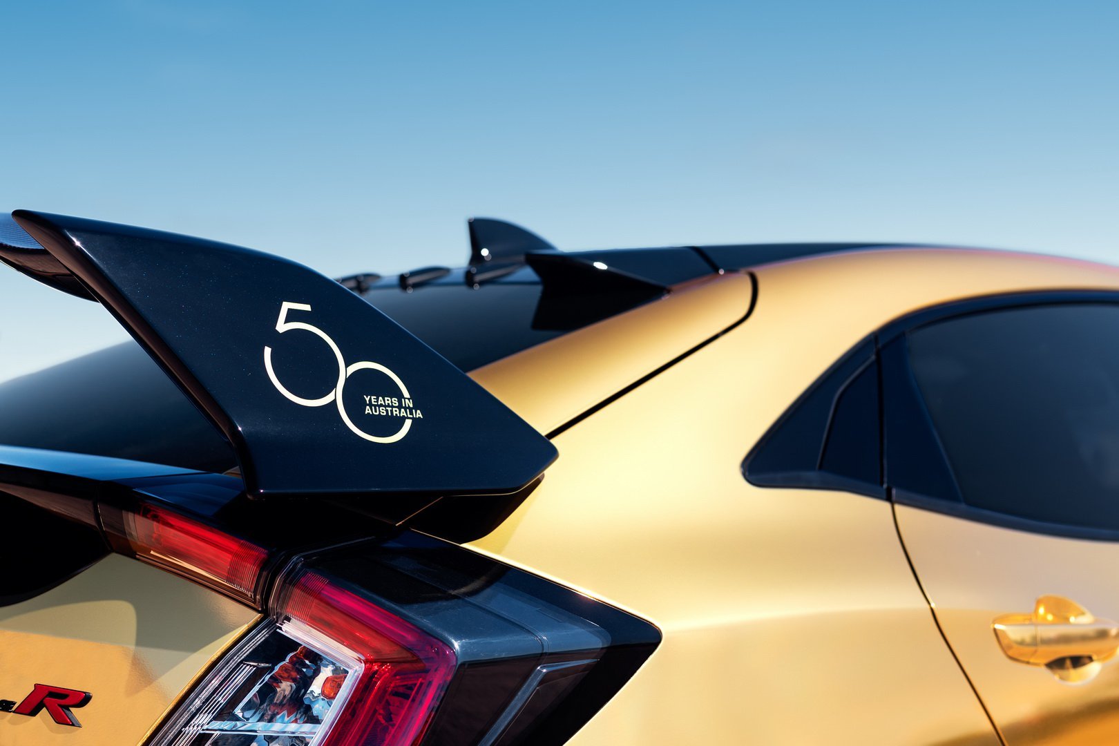 Các xe đều có logo kỷ niệm 50 năm