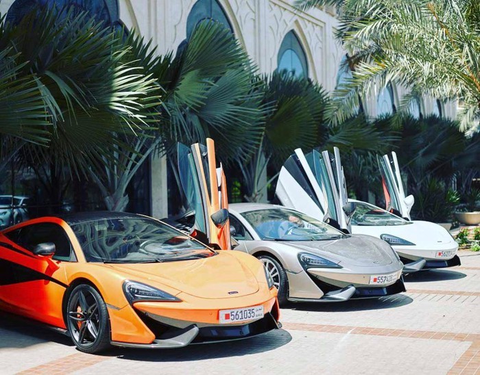 Sau khi hình ảnh của câu lạc bộ nữ chơi siêu xe được chia sẻ chóng mặt trên các mạng xã hội, Arabian Gazelles trở nên nổi tiếng và được các hãng xe lớn trên thế giới đặc biệt chú ý