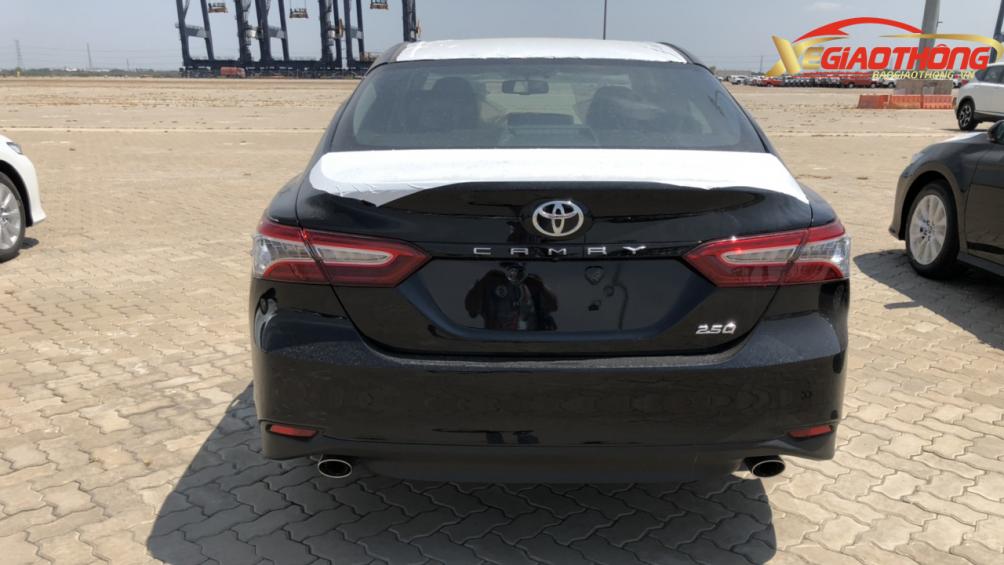 Theo đại diện Toyota Việt Nam, trong tháng 4/2019 tới đây, Toyota Camry nhập khẩu sẽ chính thức ra mắt khách hàng. Tuy giá bán xe chưa được tiết lộ nhưng theo nhiều đại lý, giá dự kiến Camry 2019 là 1,6 tỷ đồng