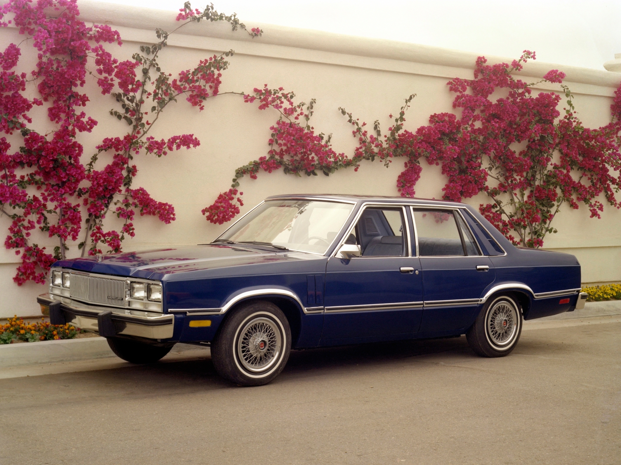 Mercury Zephyr (1978-1983): Chiếc xe này lại bị coi là điển hình của những dòng xe xấu nhất ở Mỹ trong thập niên 1970, với nóc xe kỳ quái, lưới tản nhiệt thẳng đứng trong khi đèn hậu nghiêng