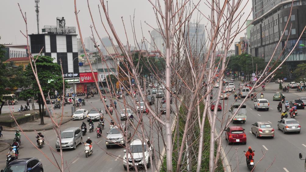 Anh Hoàng Vân, một người thường xuyên đi làm qua đường Nguyễn Chí Thanh cho biết, khá sốt ruột vì chờ đợi đã lâu mà chưa thấy "mãn nhãn" với phong lá đỏ