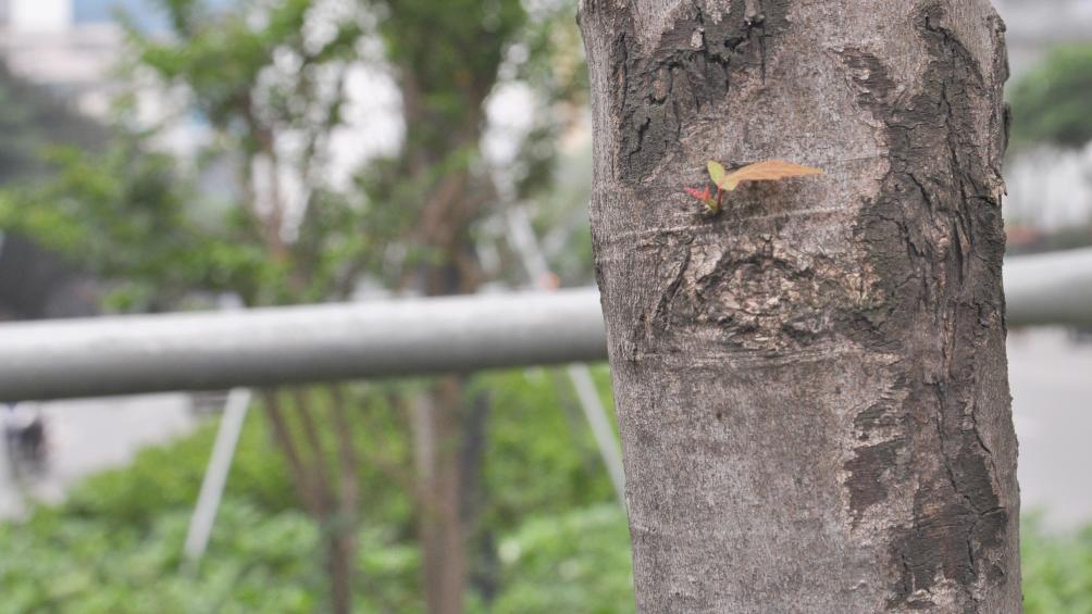 Một cánh lá nhỏ chẳng làm nên mùa xuân.