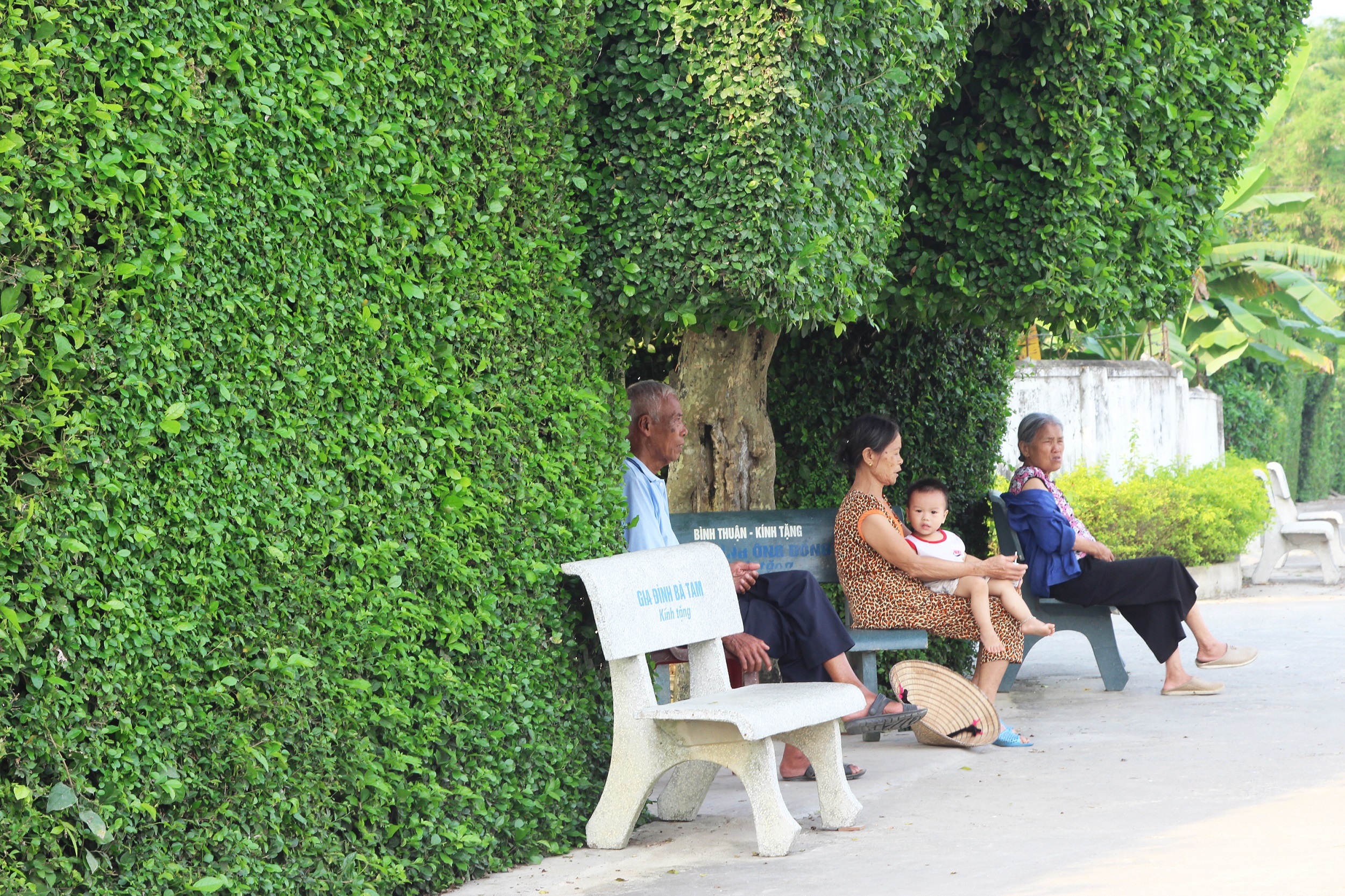 Những cổng nhà "xanh như ngọc" trở thành nơi ngồi mát, tâm tình chuyện làng xóm trong những trưa hè bỏng rát xứ Nghệ.