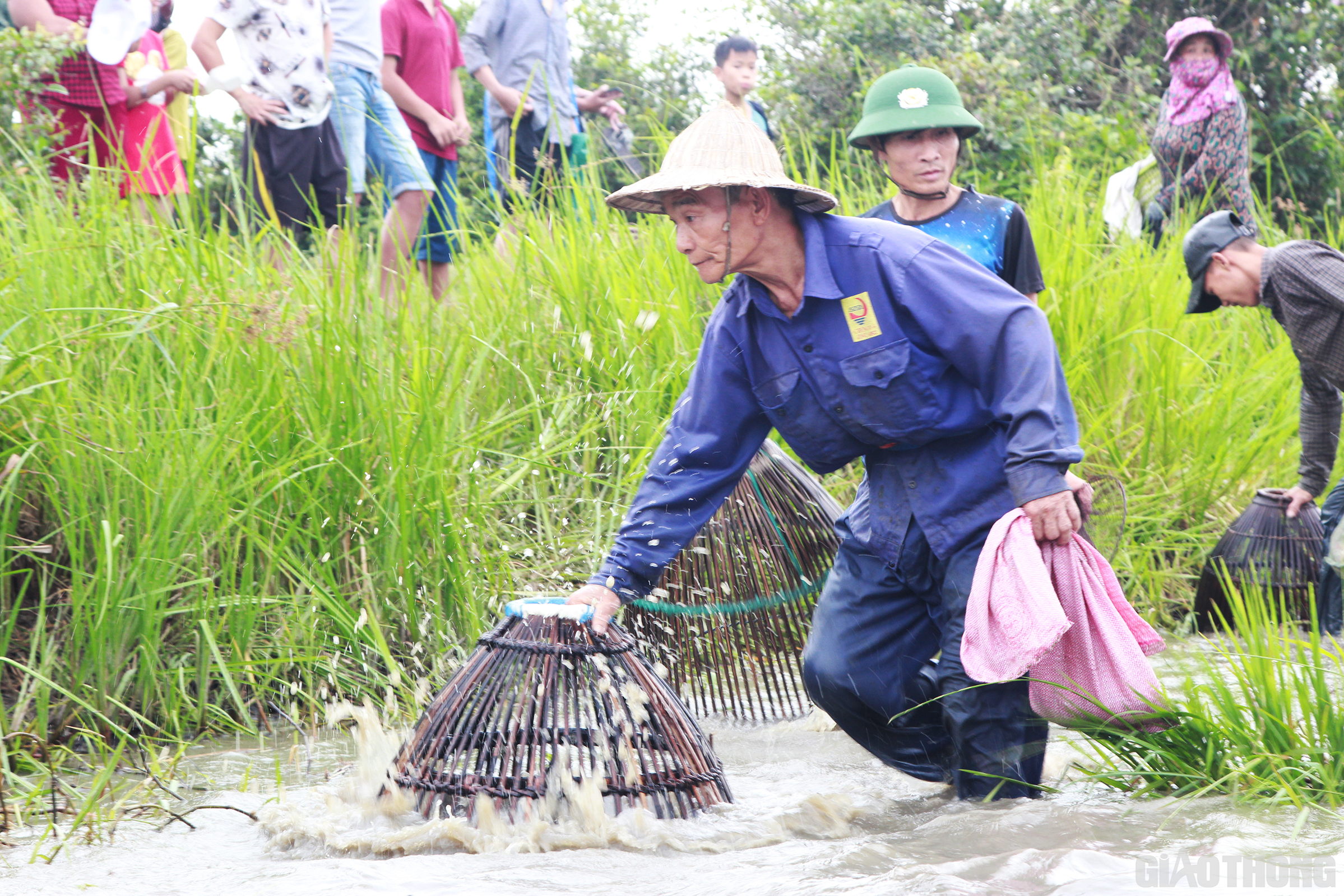 Rất nhiều người già đã lớn tuổi nhưng cũng mang theo nơm xuống đầm thể hiện kinh nghiệm trong việc bắt cá của bản thân mình