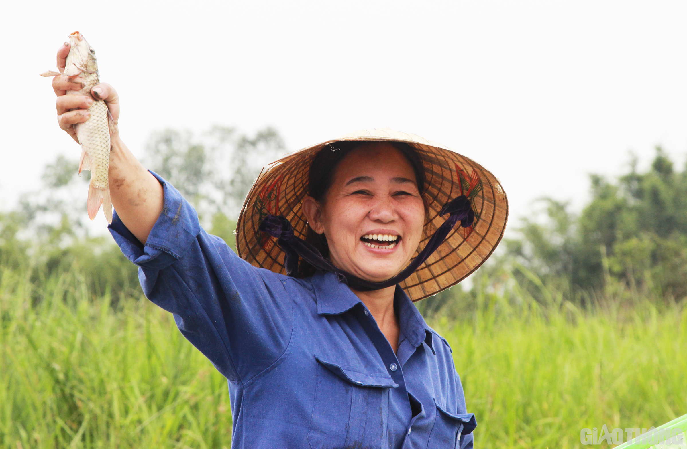 Nhiều chị em phụ nữ cũng bắt cá giỏi không kém phần đấng mày râu