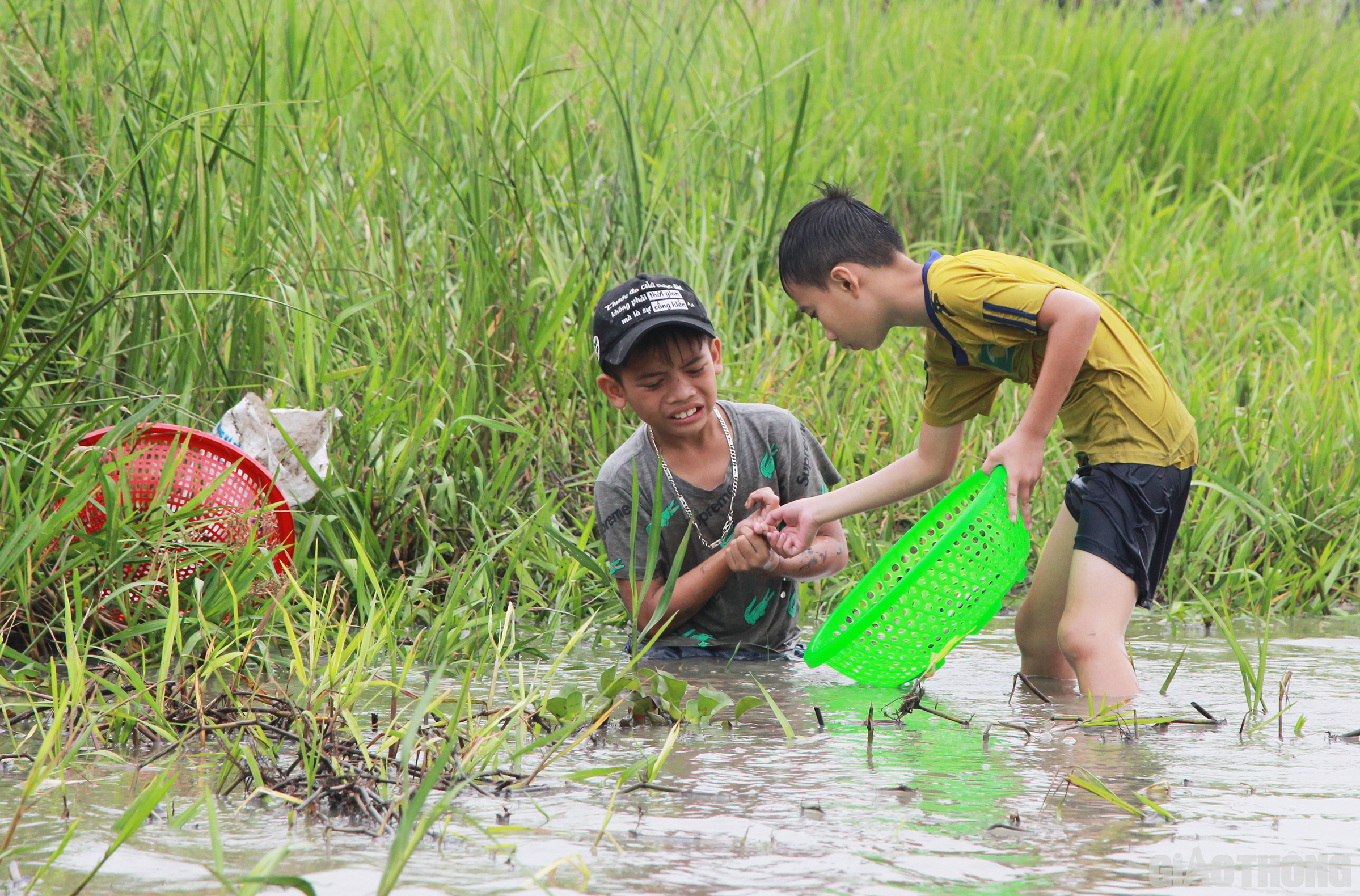 Tuy nhiên, không phải lúc nào may mắn cũng đến với các em. Nhiều em bé bị gai cá đâm đến chảy máu và đau nhức