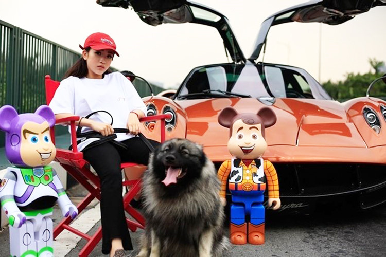 Mới đây, những bức ảnh của con gái Minh Nhựa chia sẻ chụp cùng siêu xe Pagani Huayra triệu đô bất ngờ xuất hiện dày đặc trên mạng xã hội. Những hình ảnh này nhằm quảng bá cho thương hiệu thời trang của riềng Phạm Trần Nguyễn Minh Anh, còn có nickname - Joyce Phạm