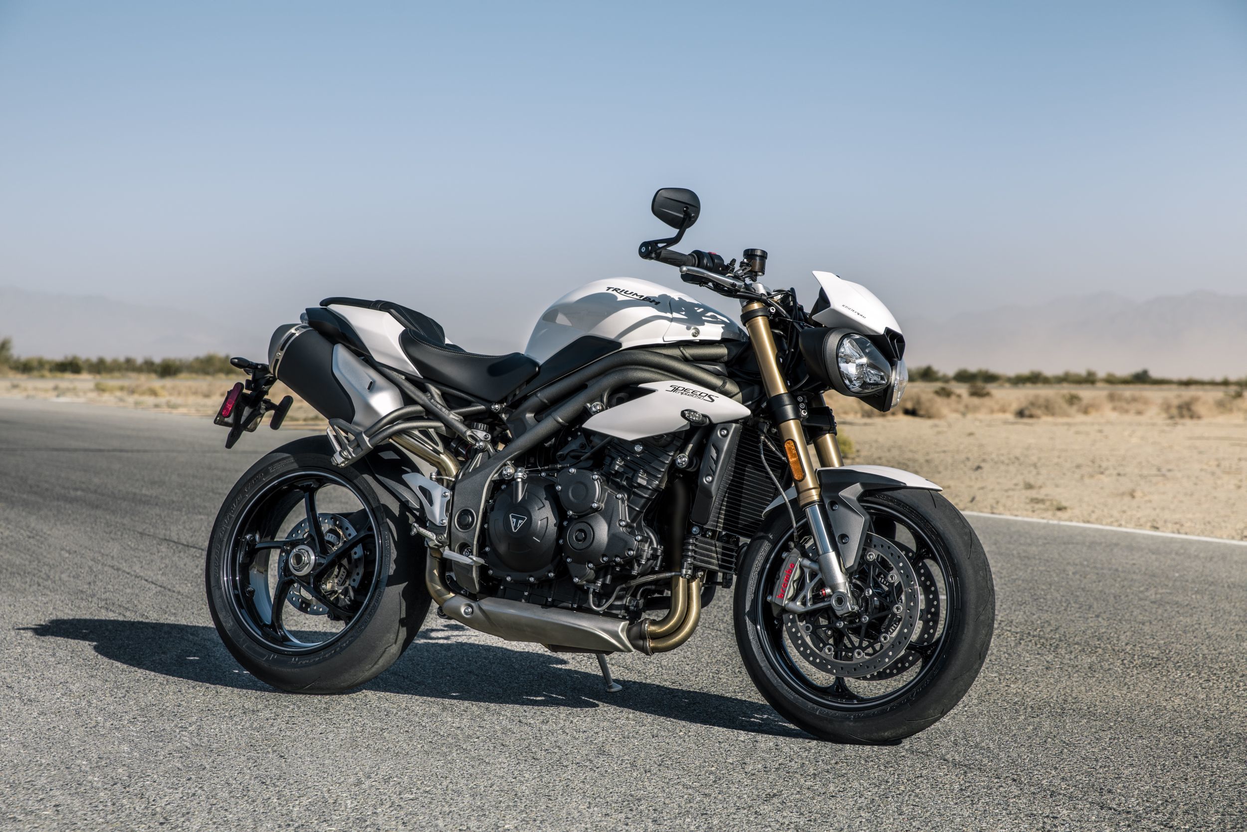 8. Triumph Speed Triple S 2019