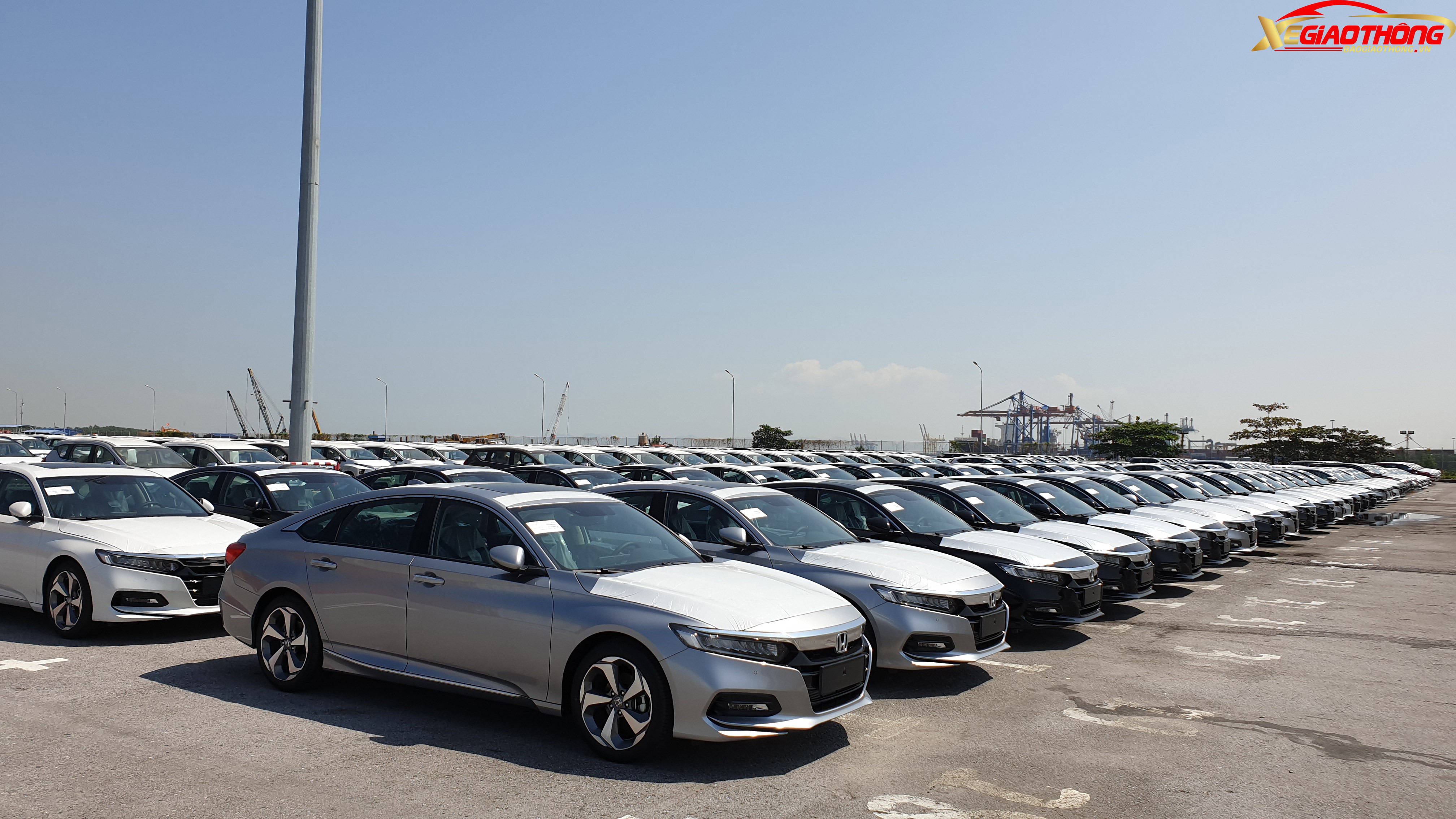 Tại cảng Hải Phòng, một lô xe Honda Accord hoàn toàn mới bị bắt gặp đang đậu, đỗ tại khu vực riêng, chờ làm thủ tục thông quan.