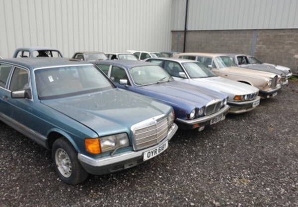 Chúng được bán với giá rẻ cho tất cả mọi người, thậm chí những ai có nhu cầu sử dụng thật sự sẽ không phải mất đồng nào