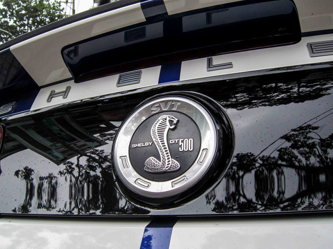 Con rắn hổ mang dữ tợn mà bạn thấy ở đây đã nằm trên thân vỏ của những chiếc xe Shelby mạnh mẽ nhất trong lịch sử