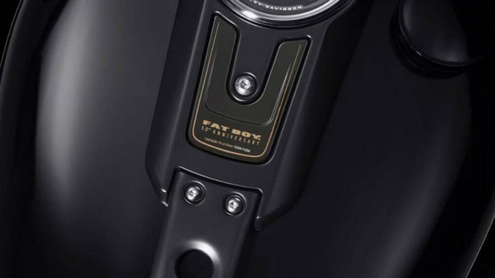 Hầu hết bộ phận trên Fat Boy 30th Anniversary như ống xả, ốp đầu đèn, ghi đông đều được phủ màu đen đặc trưng