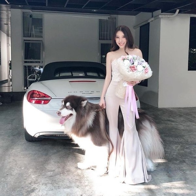 Cô nàng với cặp chân dài miên man, vóc dáng thanh tao và gương mặt xinh đẹp tên là Varenithi Bubee Kanpaibool, người Thái Lan