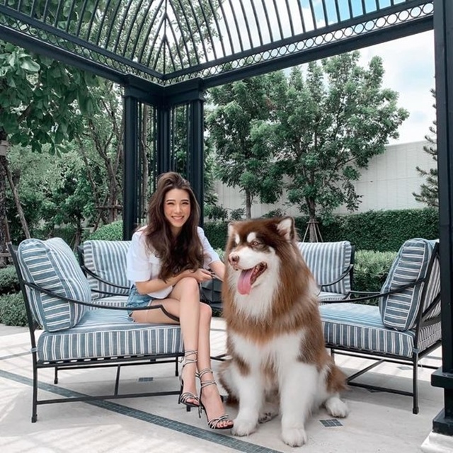 Tuy nhiên, vì có quá nhiều xe nên nhiều lúc Bubee còn không nhớ nổi chiếc nào chạy rồi, chiếc nào chưa