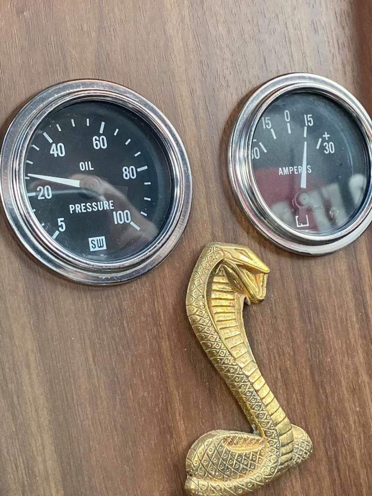 Logo “hổ mang” được mạ vàng, đặt tại bảng điều khiển trung tâm