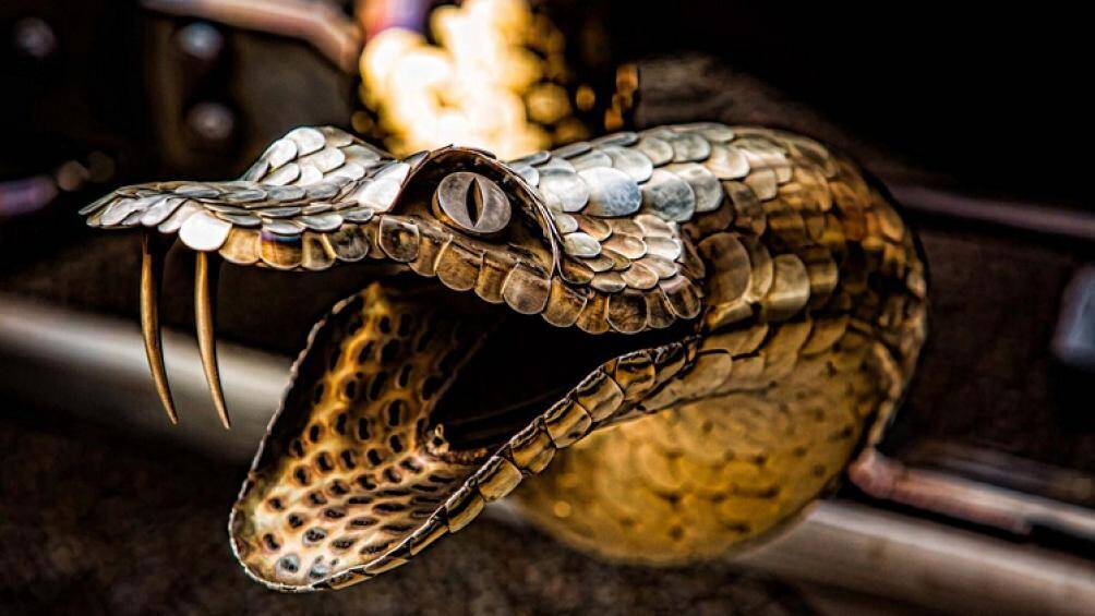 Mỗi con rắn tạo ra từ hơn 900 cái vảy và cặp răng nanh làm thủ công mà Bohata mất hơn 40 tiếng để hoàn thiện