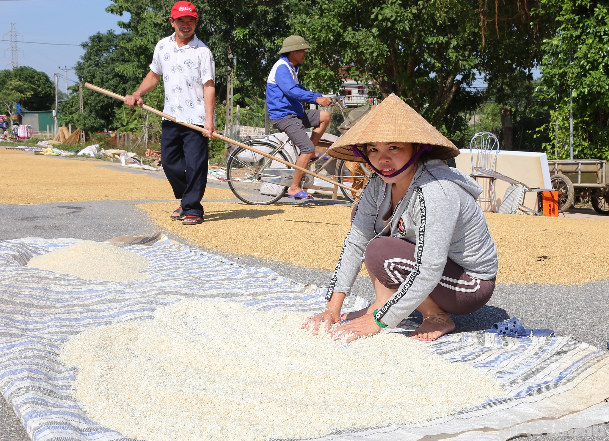 Không chỉ lúa, gạo để dùng cho bữa ăn hàng ngày của người dân rốn lũ cũng bị ngâm nước lũ nhiều ngày hư hỏng.