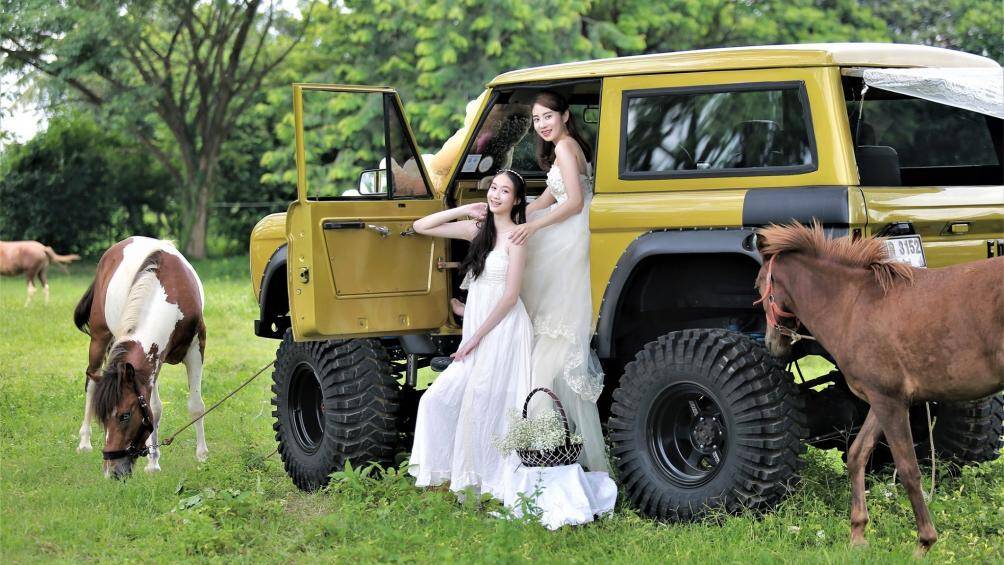 Cặp đôi diện váy trắng tinh khiết bên Ford Bronco 1967 và tuấn mã