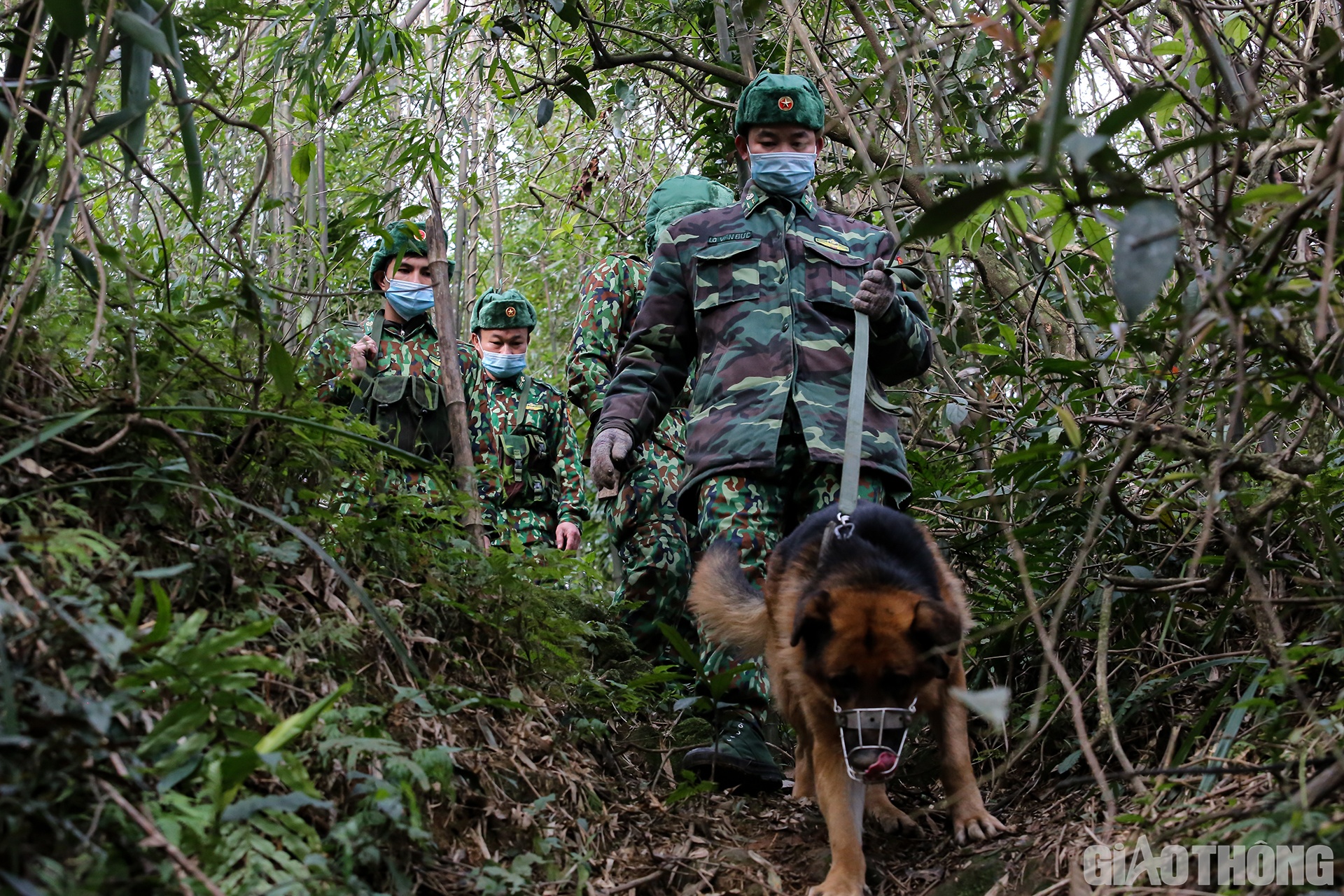 ... chưa kể, có vô số dốc cao dựng đứng và khe suối.