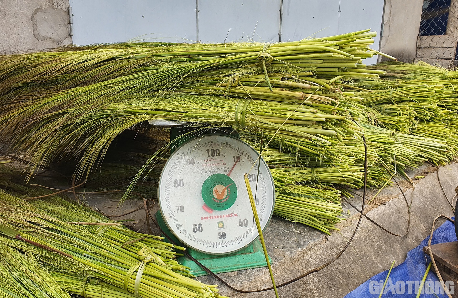 Bông đót được người dân xã Hữu Kiệm mua với giá 4.000 đồng/1kg.