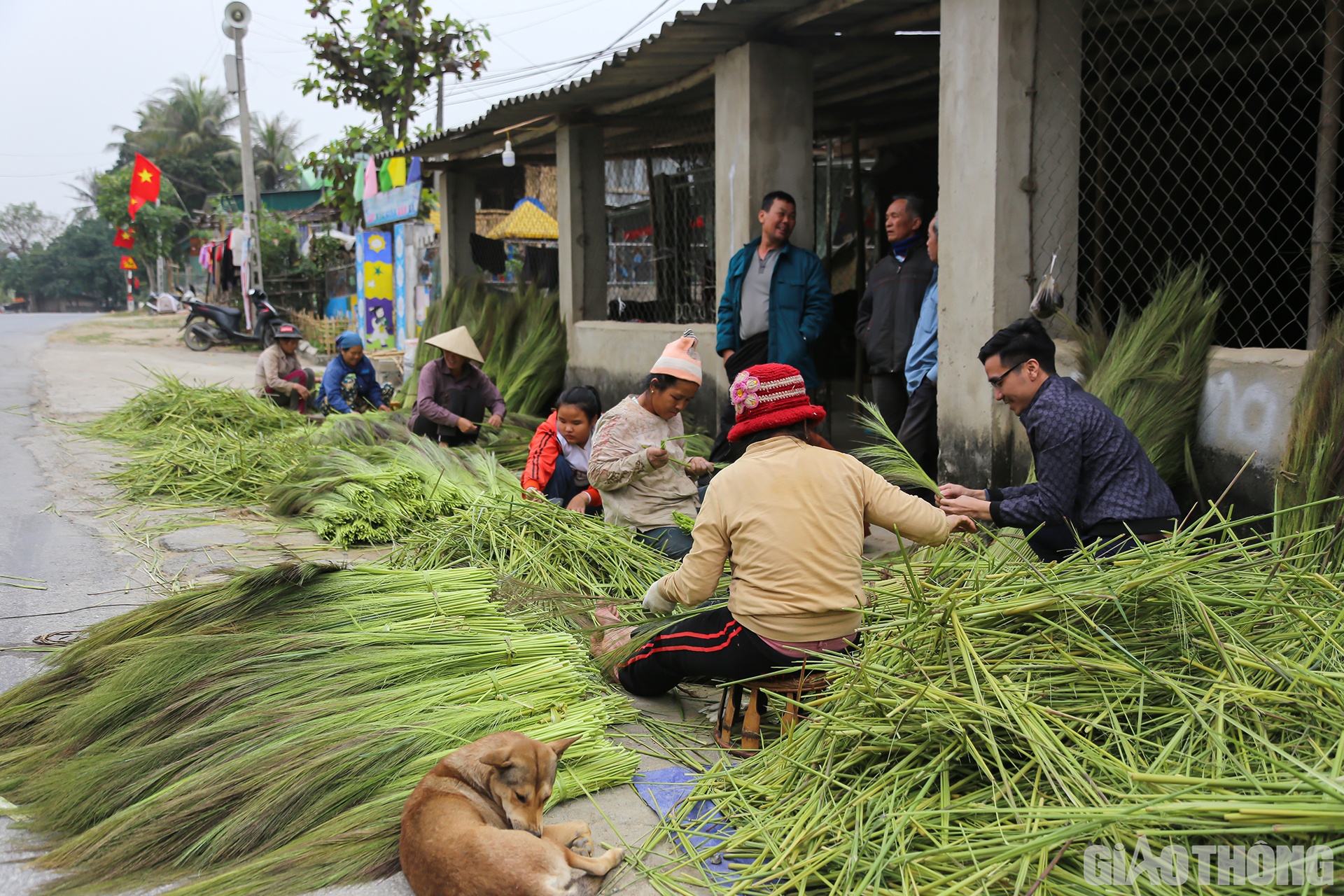 Cứ vào dịp tháng 12 Âm lịch hàng năm, bà con đồng bào dân tộc Thái ở xã Hữu Kiệm, huyện miền núi biên giới Kỳ Sơn, tỉnh Nghệ An lại tất bật vào vụ "sơ chế" đót để bán cho các cơ sở làm chổi đót.