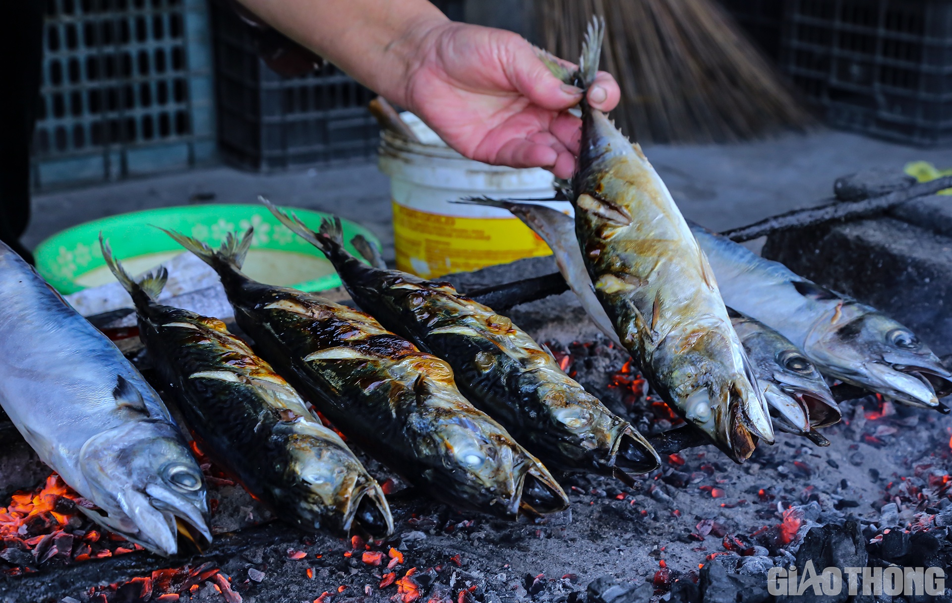 Có cùng quan điểm, bà Lê Thị Hà (quán nướng cá gần nhà bà Loan) cho biết thêm: Trung bình mỗi ngày gia đình bà nướng 3 - 4 yến cá các loại, những ngày có người đặt thì lên đến 5 yến. Thời điểm Tết Nguyên đán, nhu cầu của người dân cao hơn nên lượng cá nướng cũng tăng lên