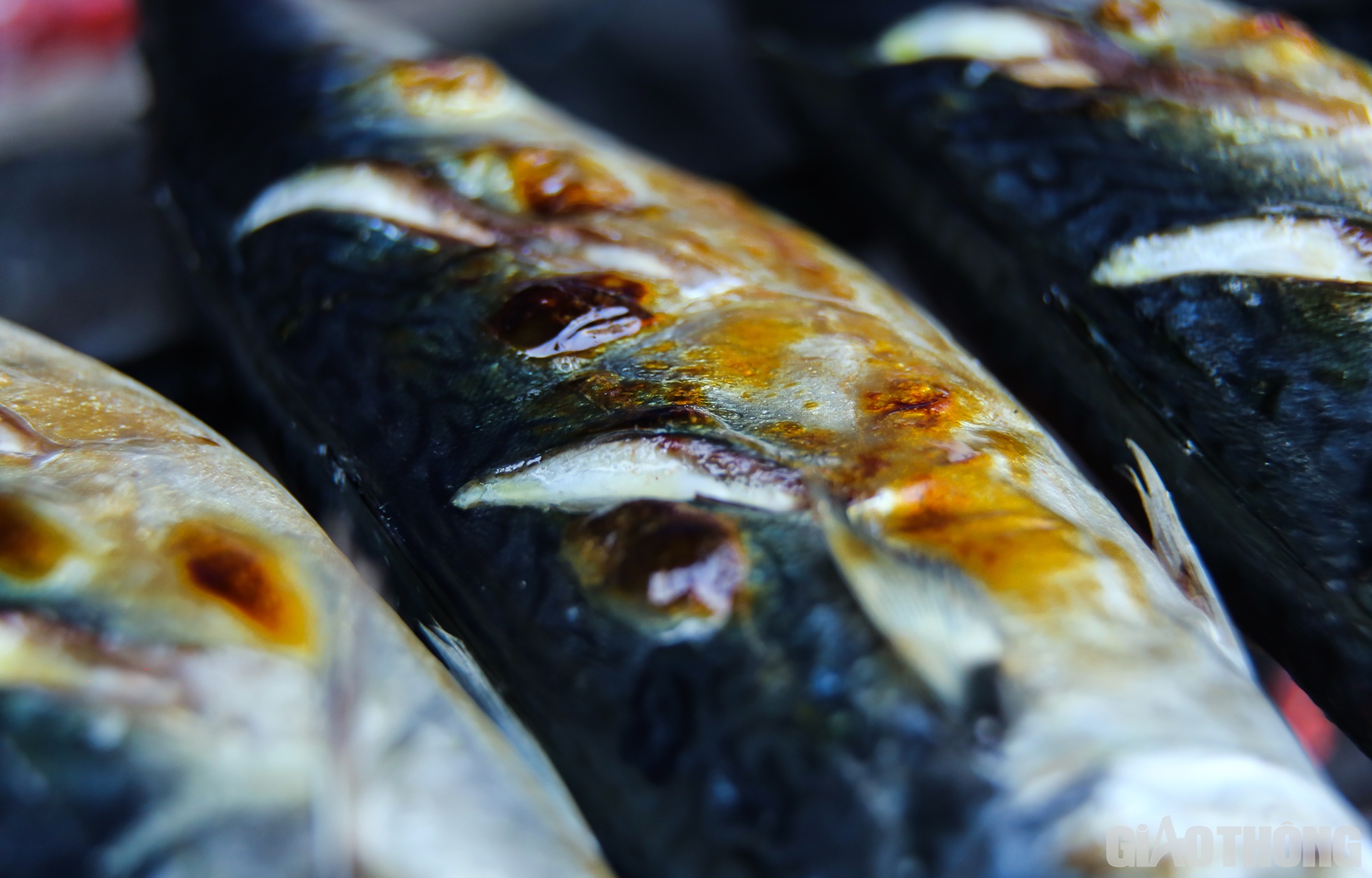 Chỉ nhìn vào hình ảnh con cá vàng ươm, mỡ cá xì xèo trên than nóng đã thấy ngon đến "nhức răng"