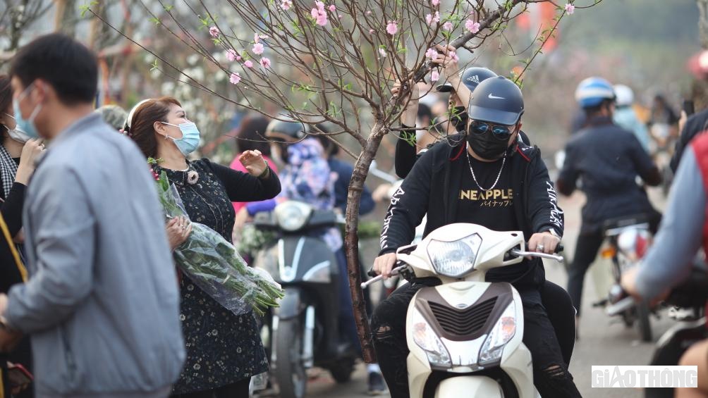 Không "chịu" nổi mức giá quá cao của hoa lê, nhiều người đã quay sang mua hoa đào nở muộn.