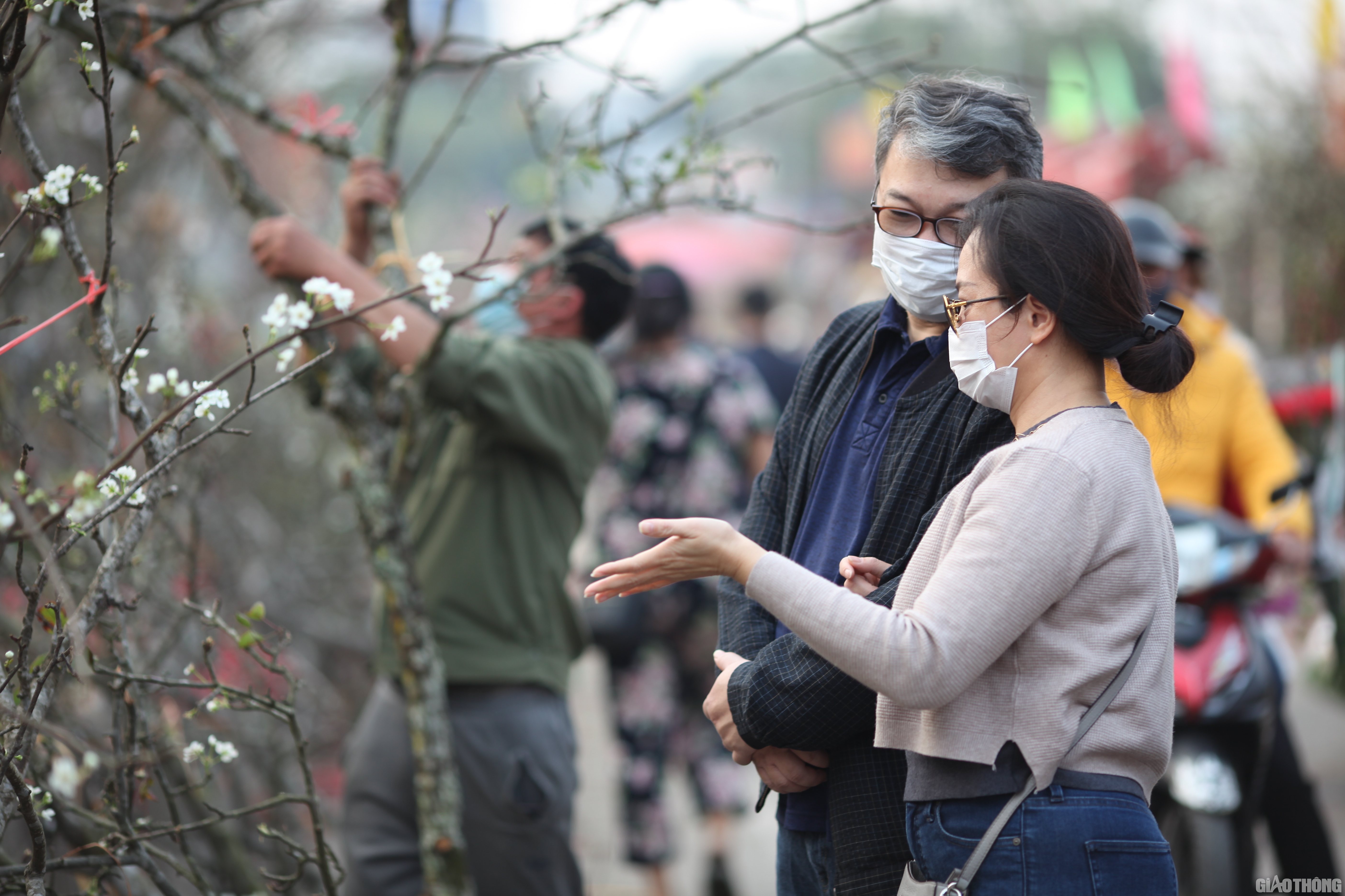 Người yêu hoa tỉ mỉ lựa chọn cho gia đình một cành hoa ưng ý nhất để mang về.