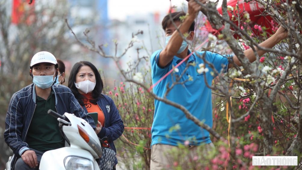 Những cành nhiều nụ, có thể chơi đến 2 tháng. Cũng có lẽ bởi thời gian chơi bền hơn so với đào hay mai nên nhiều người yêu hoa vẫn sẵn sàng "móc túi chi tiền". Trong ảnh, 2 khách hàng ở Quốc Tử Giám (Hà Nội) đã quyết định chi 3,8 triệu đồng để mua cành lê ưng ý.