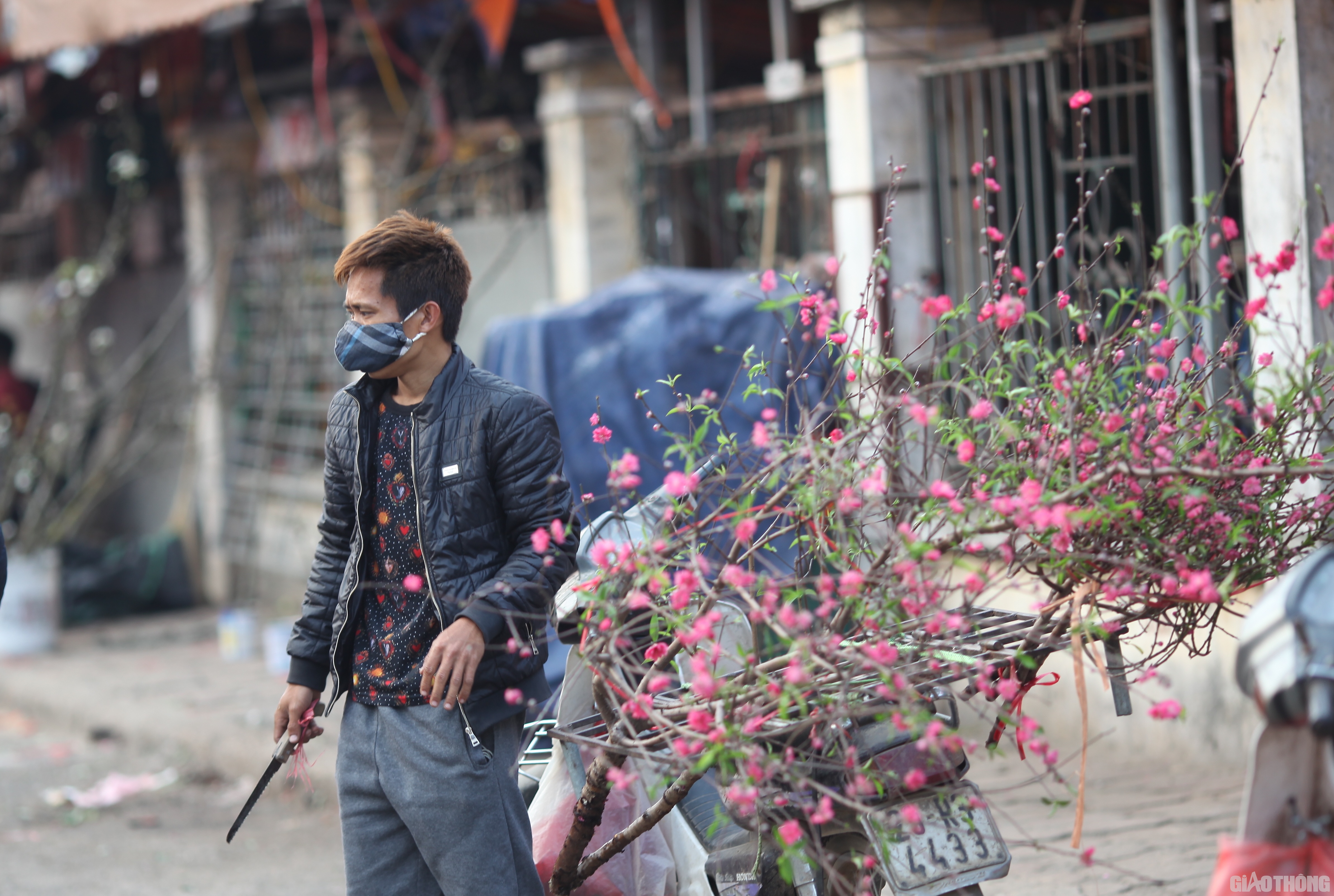 Giá hoa đào rẻ chỉ bằng 1/10 hoa lê. Một cành đào huyền cao cả hơn 1,5m, hoa to, nụ nhiều chỉ từ 200 - 300 nghìn đồng.