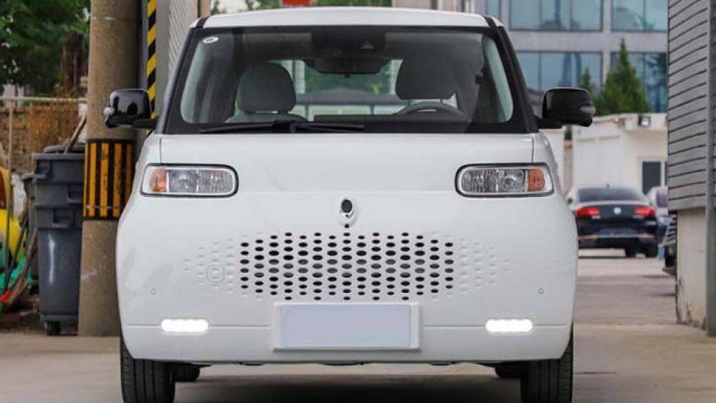 Ora White Cat thuộc sở hữu của Great Wall, một trong những tập đoàn ô tô lớn nhất Trung Quốc