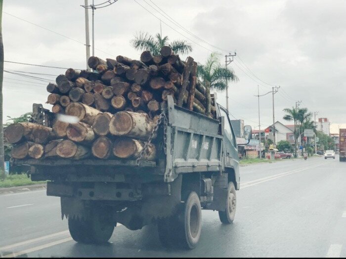 Tuy không thường xuyên, nhưng thỉnh thoảng trên QL18A, đoạn qua Tp Uông Bí cũng gặp loại xe chở gỗ cồng kềnh như này.