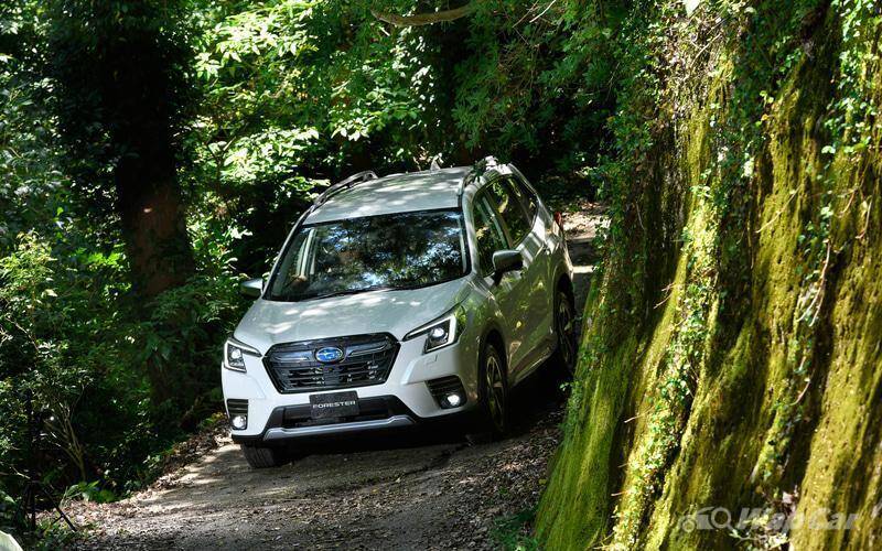 Phiên bản Sport Boxer trang bị động cơ tăng áp 1,8 lít tạo ra công suất 177 mã lực và mô-men xoắn 300Nm.