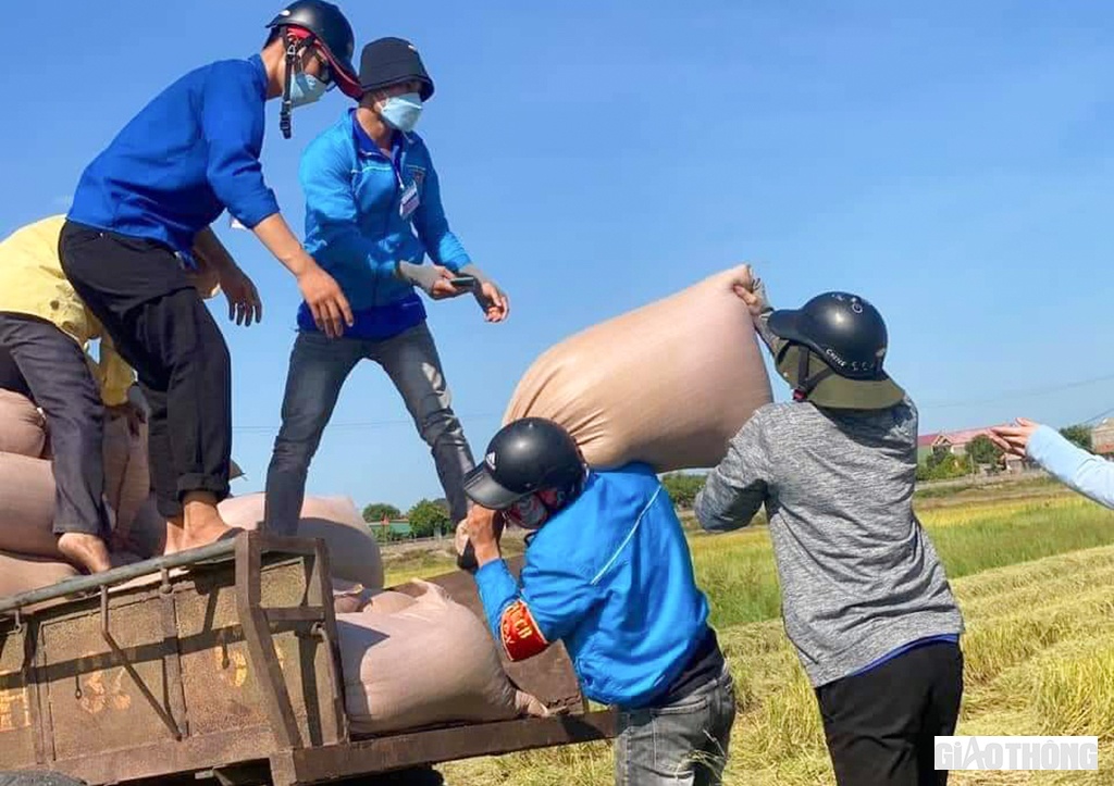 Trên các cánh đồng lúa chín vàng, bên cạnh lực lượng Công an còn có rất nhiều ĐVTN đang sinh hoạt tại các chi đoàn, liên chi đoàn thuộc huyện đoàn Cẩm Xuyên tham gia.