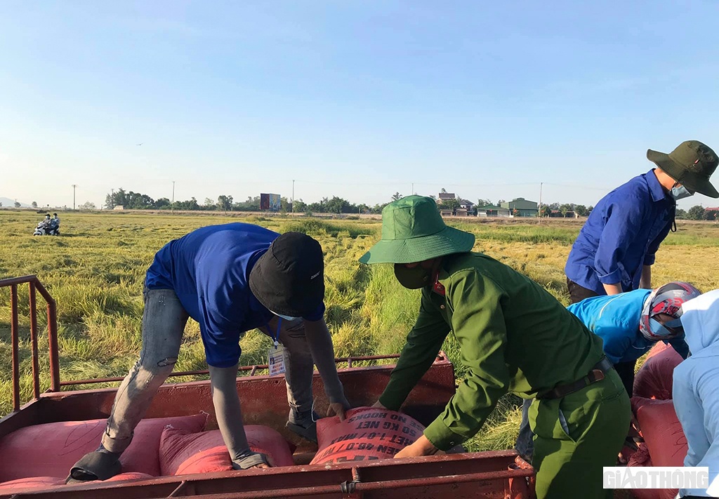 Hàng ngày, các bạn thực hiện việc như: phối hợp với các lực lượng khác trực chốt kiểm dịch, đưa cơm cho các chốt kiểm dịch, đi chợ giúp người dân... ngoài ra, nhiều bạn khác thì giúp dân thu hoạch lúa chín ngoài đồng.