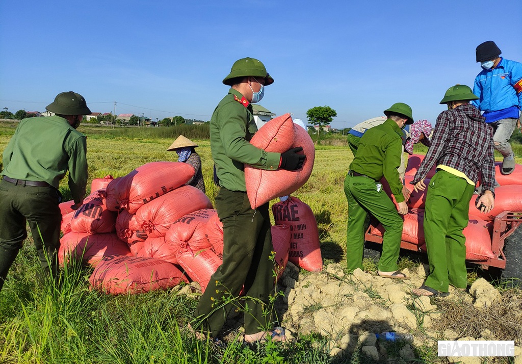 Sau khi phát hiện có ca dương tính với Covid-19, từ 0h ngày 14/8/2021, thị trấn Cẩm Xuyên (huyện Cẩm Xuyên, tỉnh Hà Tĩnh) thực hiện giãn cách xã hội theo Chỉ thị 16. Mọi người dân không được phép ra đường khi không có việc cần thiết, nhiều người dân thuộc diện F1, F2 đang phải cách ly y tế theo quy định phòng chống dịch bệnh Covid-19 trong lúc lúa ngoài đồng đã chín vàng.