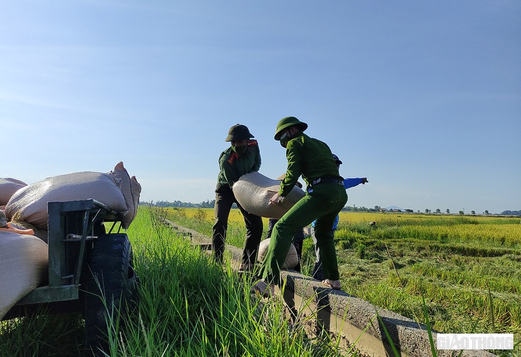 Chia sẻ với khó khăn của người dân vùng dịch, hàng chục ĐVTN Công an huyện Cẩm Xuyên đã thực hiện nhiệm vụ kép: vừa phòng, chống dịch, vừa gọi máy gặt và xuống đồng gặt lúa cho người dân.