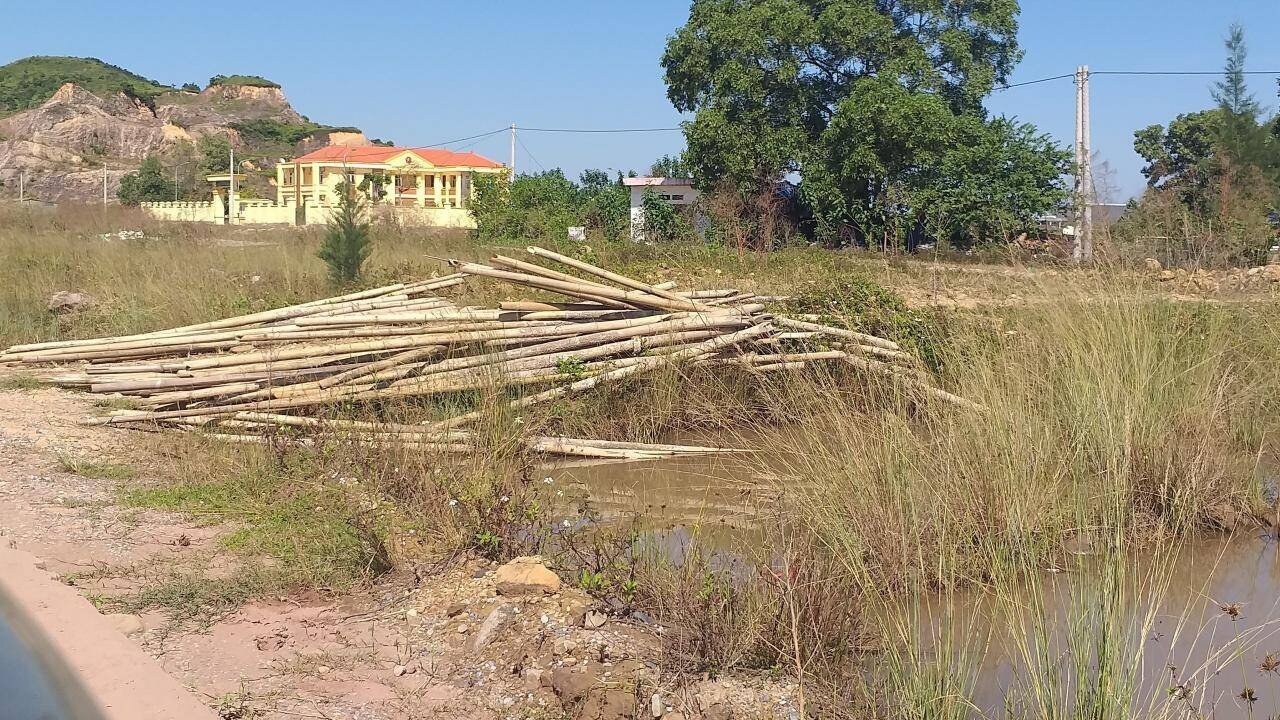 Nhiều đoạn thuộc diện tích mặt đường, lề đường xuống cảng Hải Hà bị bỏ hoang, nên người dân thoải mái "tận dụng" để tập kết tre, gỗ...