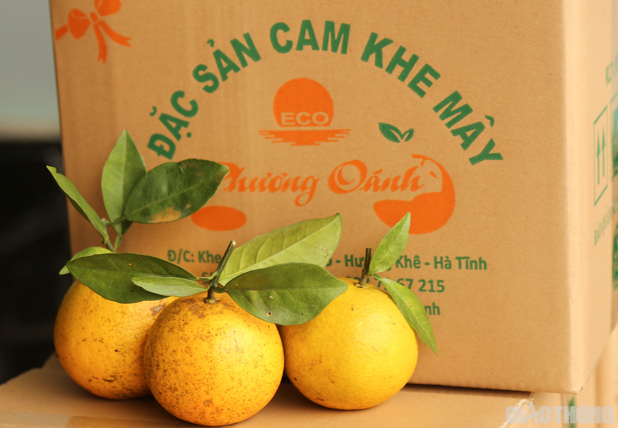 Anh Tôn cho biết: Cam Khe Mây được trồng theo tiêu chuẩn VietGAP và đang từng bước nâng dần đáp ứng các tiêu chuẩn khắt khe của Nhật và Mỹ.