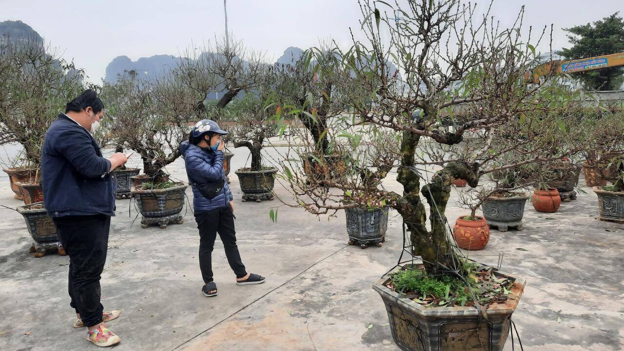 Không những thế, cụm công trình này còn là nơi người dân sinh sống quanh khu vực đi bộ, tập thể dục và cũng là nơi tổ chức các hội chợ hoa, cây cảnh lớn nhất của TP Hạ Long.