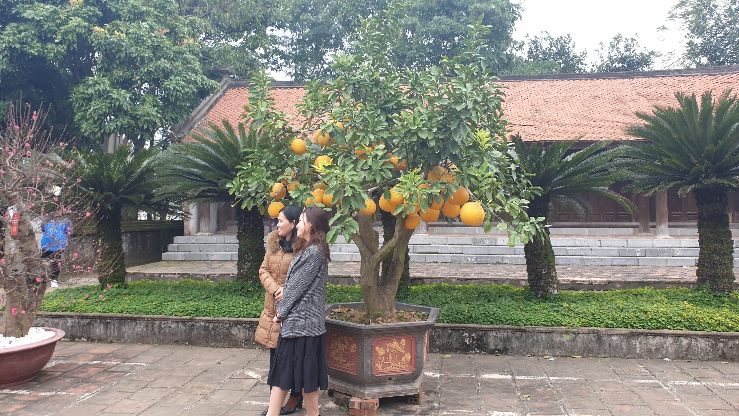 Ngoài việc xin ấn cầu an, du khách còn có thể thưởng lãm cảnh sắc thiên nhiên tươi đẹp, kiến trúc của đền Trần và chụp ảnh lưu niệm tại đây.