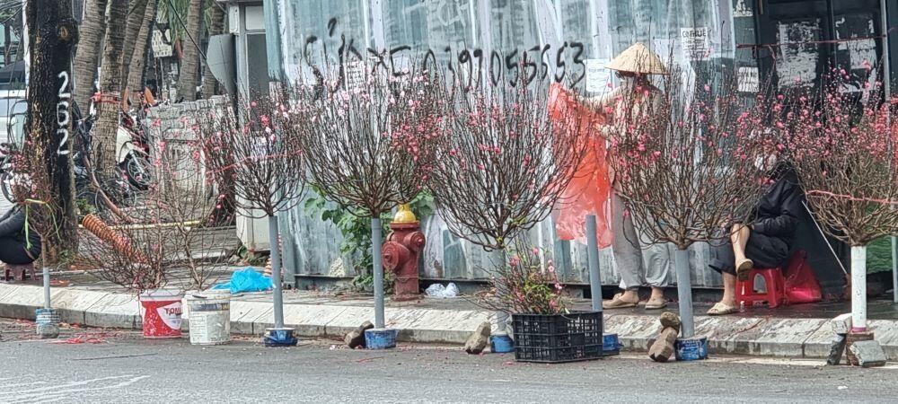 Trên nhiều tuyến phố vẫn còn những người bán những cành đào cuối vụ cho người có nhu cầu chơi sau Tết.