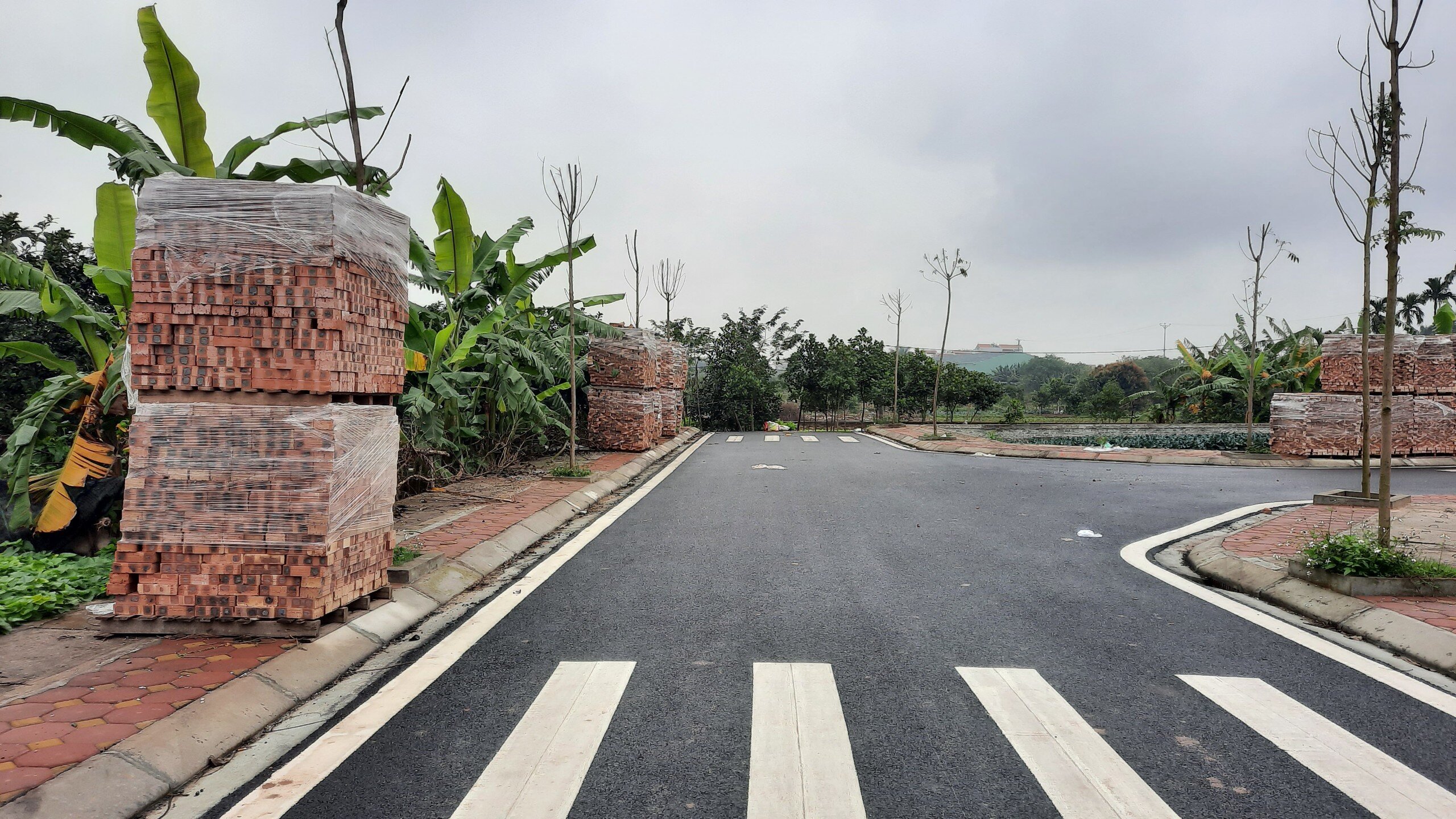 Những ngày trung tuần tháng 2/2022, sau khi Cục Bổ trợ tư pháp (Bộ Tư pháp) chỉ ra hàng loạt những sai phạm trong quá trình đấu giá và yêu cầu không công nhận, hủy kết quả đấu giá của 26/48 lô đất tại khu Chăn Nuôi, xã Đồng Tháp, huyện Đan Phượng (TP Hà Nội), PV Báo Giao thông đã có mặt tại khu đất này để ghi nhận thực tế.